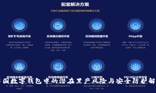 中国数字钱包中的潜在黑产风险与安全防护解析