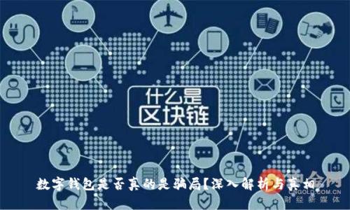 数字钱包是否真的是骗局？深入解析与真相