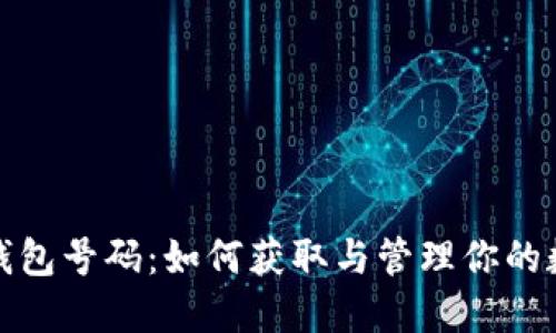 数字人民币钱包号码:如何获取与管理你的数字货币资产