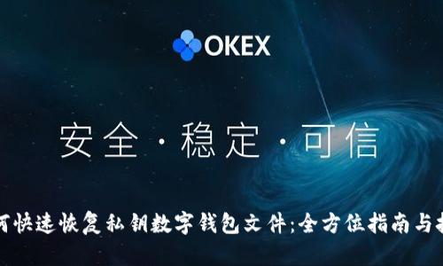 如何快速恢复私钥数字钱包文件：全方位指南与技巧