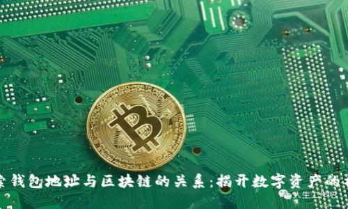 深入探索钱包地址与区块链的关系:揭开数字资产的神秘面纱