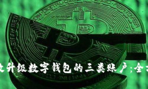 如何有效升级数字钱包的三类账户：全方位指南