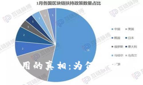 揭开数字钱包APP审核费用的真相：为何选择透明与高效是成功的关键