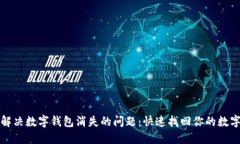 如何解决数字钱包消失的问题：快速找