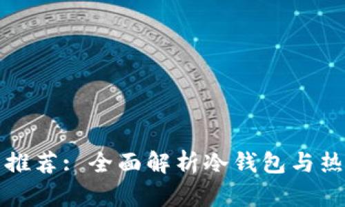 数字货币钱包推荐: 全面解析冷钱包与热钱包的优缺点