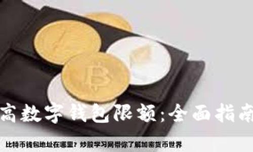 如何有效提高数字钱包限额:全面指南与实用技巧