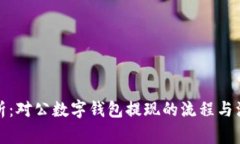 全面解析：对公数字钱包提现的流程与