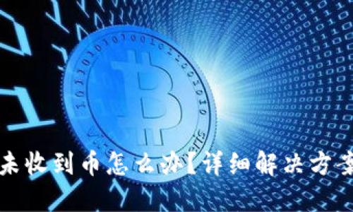 TP钱包闪兑未收到币怎么办？详细解决方案与应对技巧