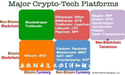 TP钱包闪兑未收到币怎么办？详细解决方案与应对技巧