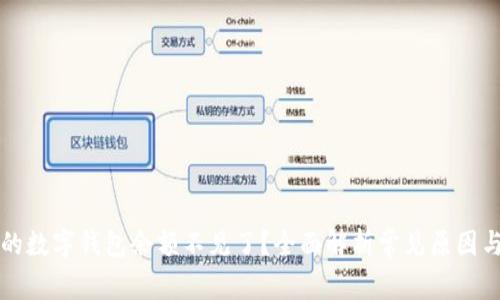 为什么我的数字钱包余额不见了?全面解析常见原因与解决方案