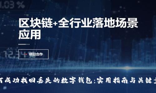 如何成功找回丢失的数字钱包:实用指南与关键步骤