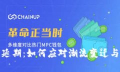 数字钱包延期：如何应对潮流变迁与技