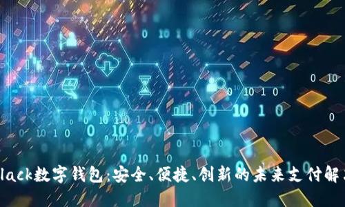 探秘Black数字钱包:安全、便捷、创新的未来支付解决方案