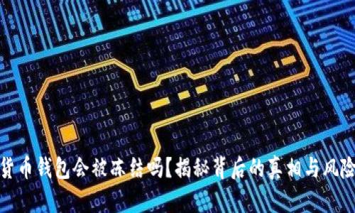 加密货币钱包会被冻结吗？揭秘背后的真相与风险控制