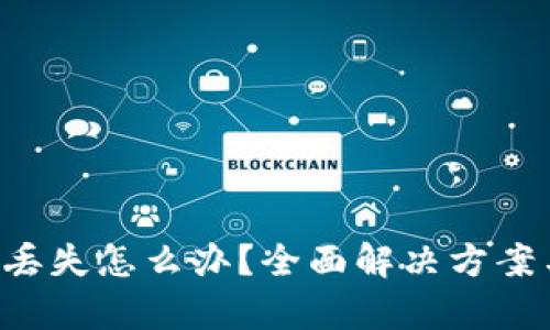 TP钱包App丢失怎么办?全面解决方案与操作指南