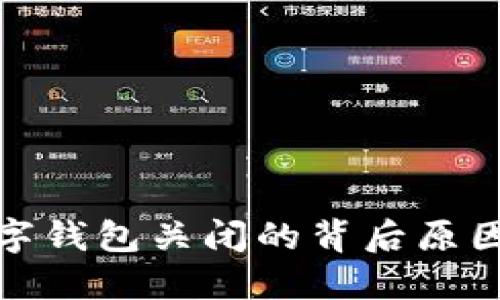 揭秘对公数字钱包关闭的背后原因及应对策略