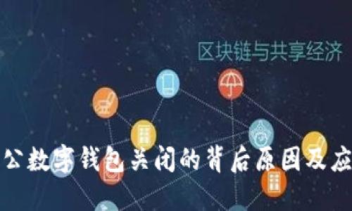 揭秘对公数字钱包关闭的背后原因及应对策略