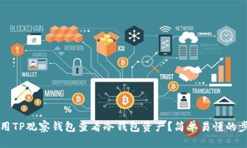 如何使用TP观察钱包查看冷钱包资产？简单易懂的步骤解析