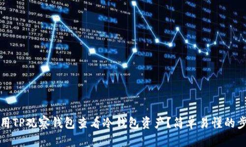 如何使用TP观察钱包查看冷钱包资产？简单易懂的步骤解析