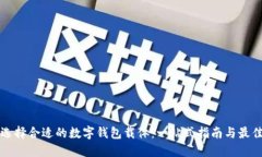 如何选择合适的数字钱包载体：一站式