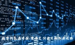 数字钱包在中国：变革支付方式的创新