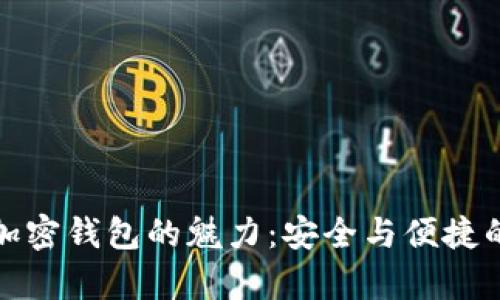 解密比库加密钱包的魅力:安全与便捷的完美结合
