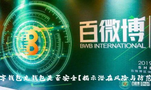 向数字钱包充钱包是否安全?揭示潜在风险与防范措施