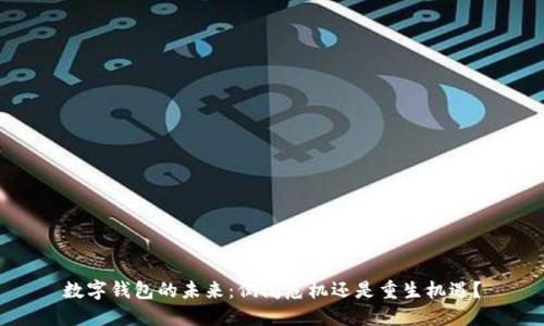 数字钱包的未来：倒闭危机还是重生机遇？