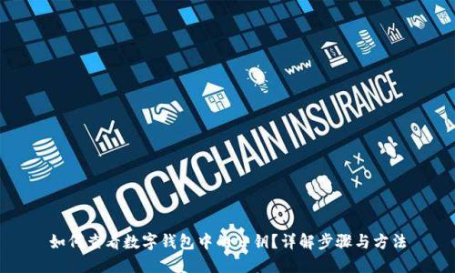 如何查看数字钱包中的公钥?详解步骤与方法