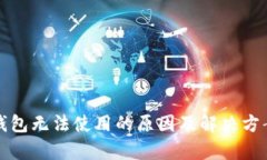 数字钱包无法使用的原因及解决方案解