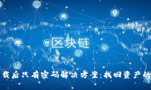 TP钱包卸载后只有密码解决方案：找回资产的实用指南