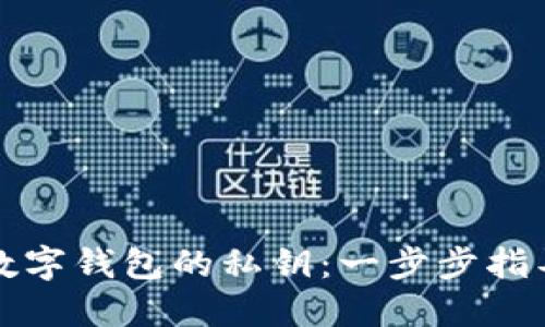 如何查看TP数字钱包的私钥：一步步指导与实用技巧