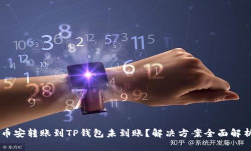 币安转账到TP钱包未到账?解决方案全面解析