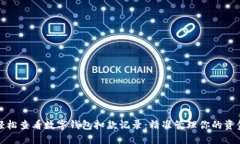 如何轻松查看数字钱包扣款记录：精准