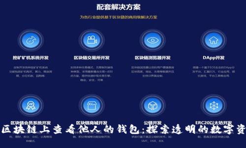 如何在区块链上查看他人的钱包：探索透明的数字资产世界