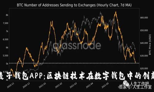 探索麦子钱包APP：区块链技术在数字钱包中的创新应用