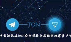 TP钱包下载测试版iOS：安全便捷的区块