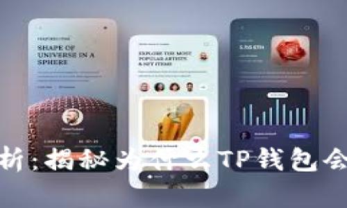 TP钱包安全性分析:揭秘为什么TP钱包会被盗及防范措施