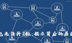 为何数字钱包无法升1级：揭示背后的