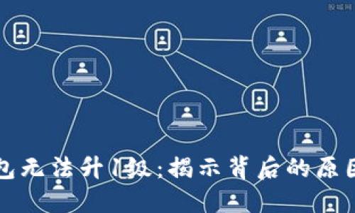 为何数字钱包无法升1级:揭示背后的原因与解决方案