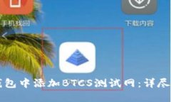 如何在TP钱包中添加BTCS测试网：详尽的
