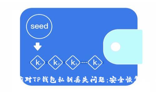 如何应对TP钱包私钥丢失问题：安全恢复指南