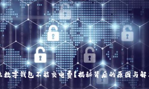 为什么数字钱包不能交电费?揭秘背后的原因与解决方案