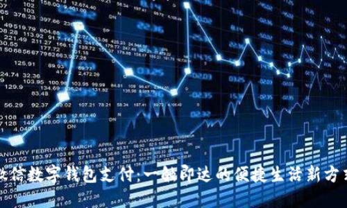 微信数字钱包支付：一触即达的便捷生活新方式
