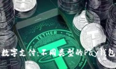 探索新世纪的数字支付：不同类型的